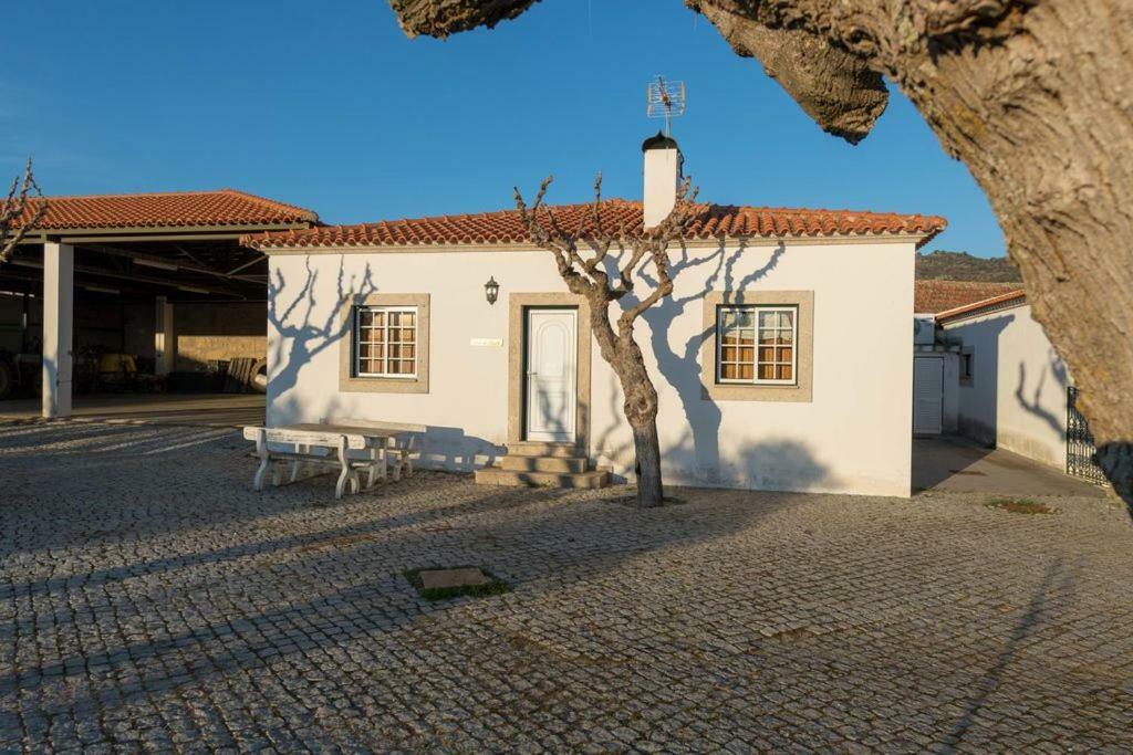 ヴィーラ・フロール Quinta Sta Luzia Carrascalヴィラ エクステリア 写真